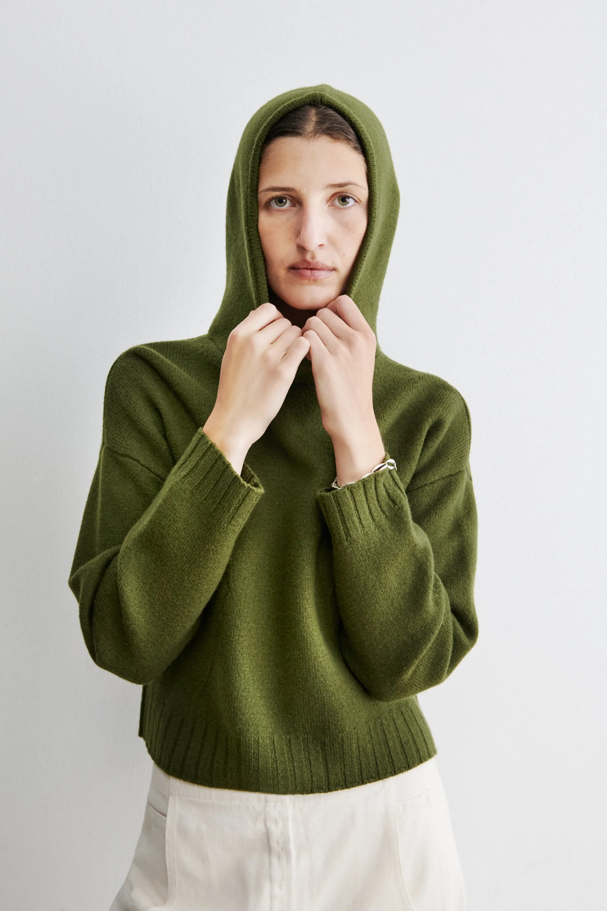 Alps Hoodie