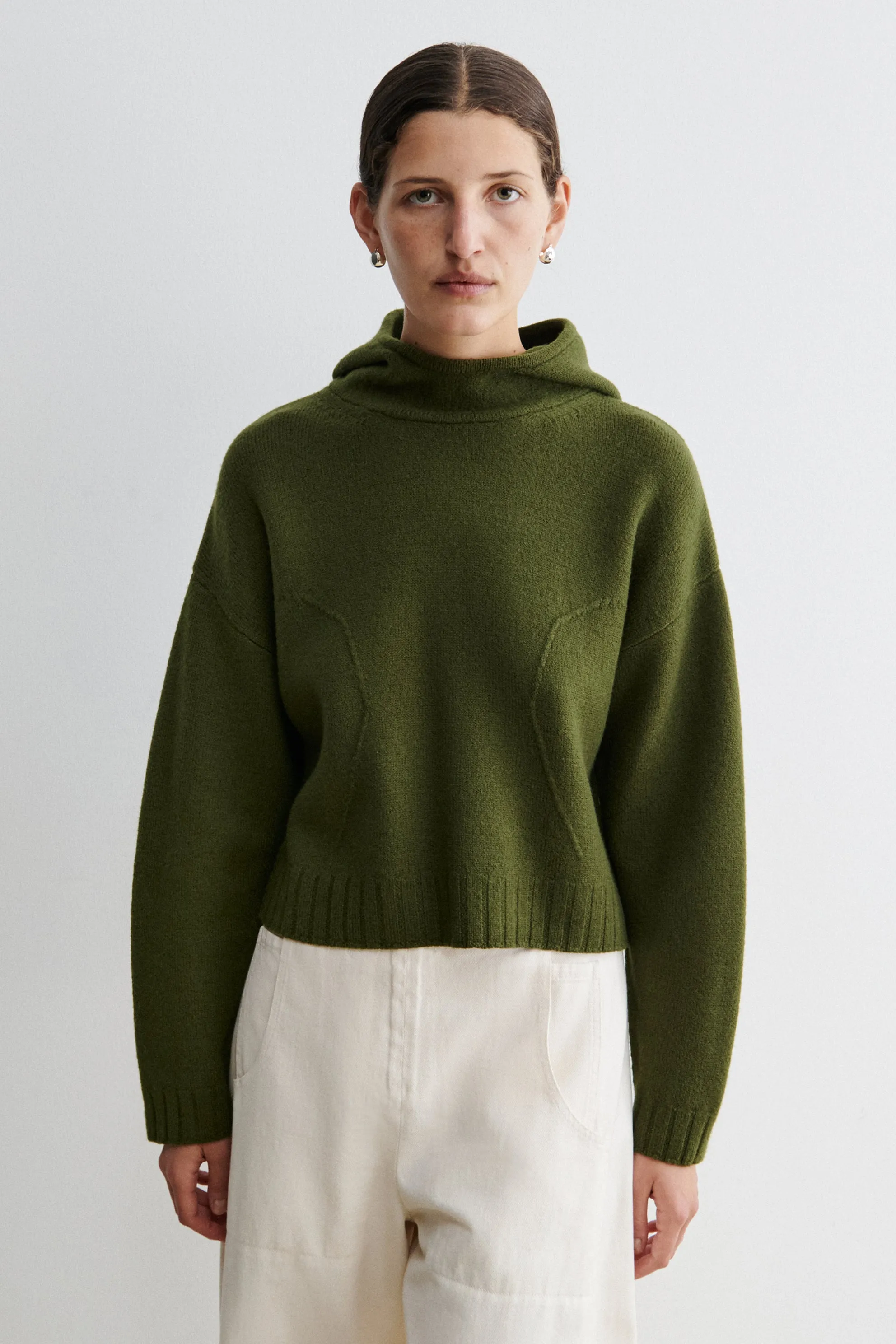 Alps Hoodie