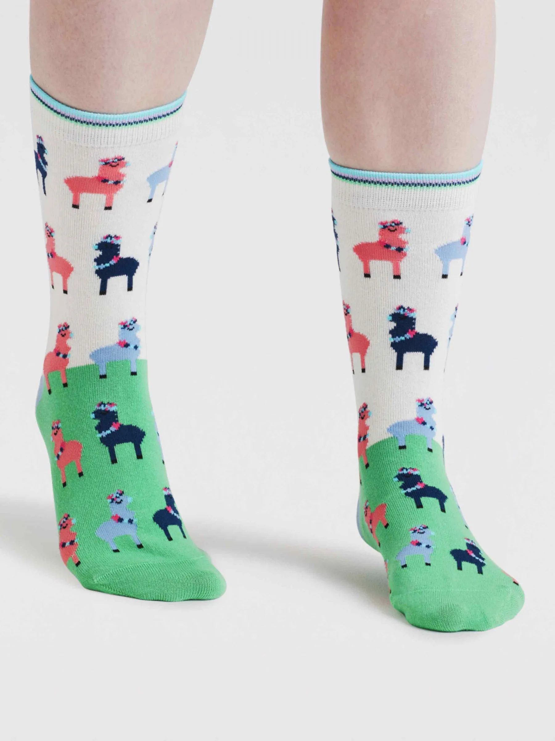 Womens Clara Rainbow Llama Organic Cotton Socks - Apple Green