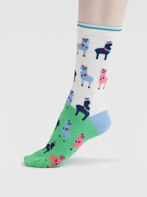 Womens Clara Rainbow Llama Organic Cotton Socks - Apple Green
