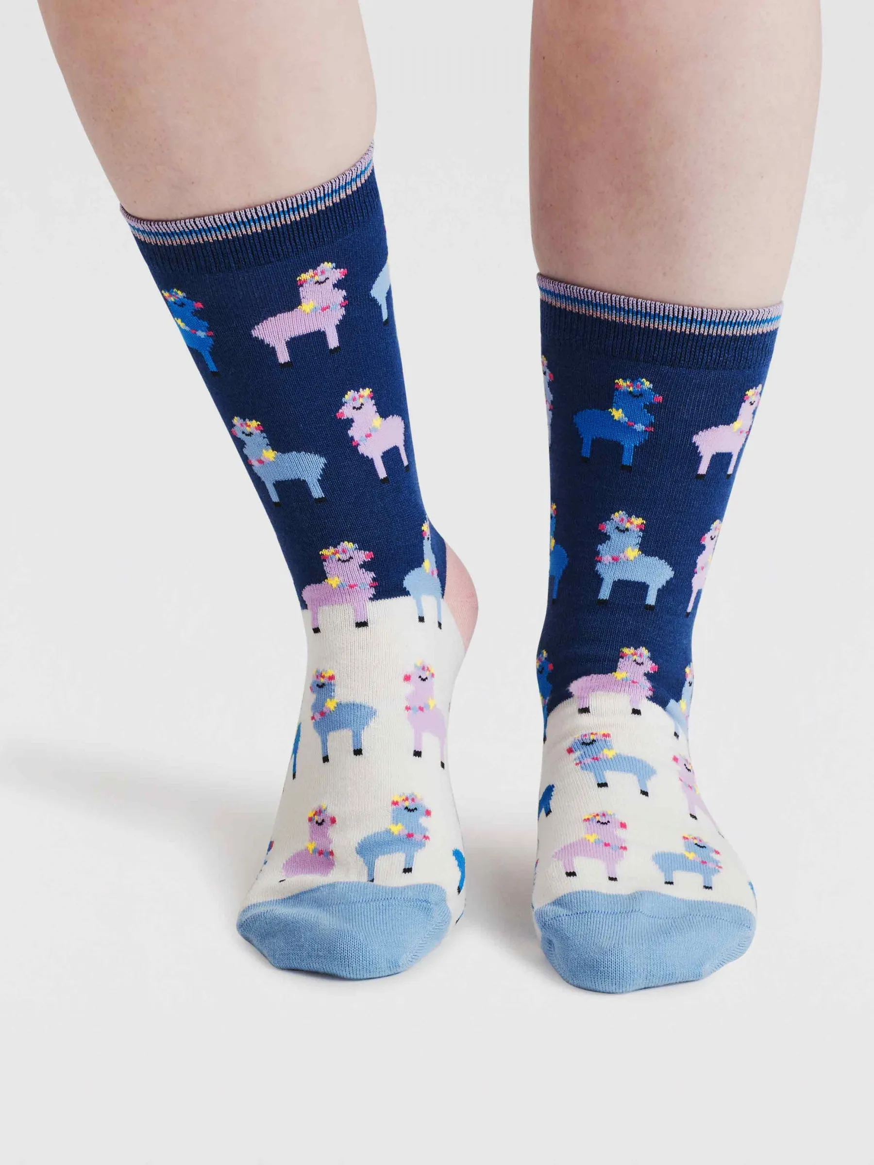 Womens Clara Rainbow Llama Organic Cotton Socks - Violet Blue