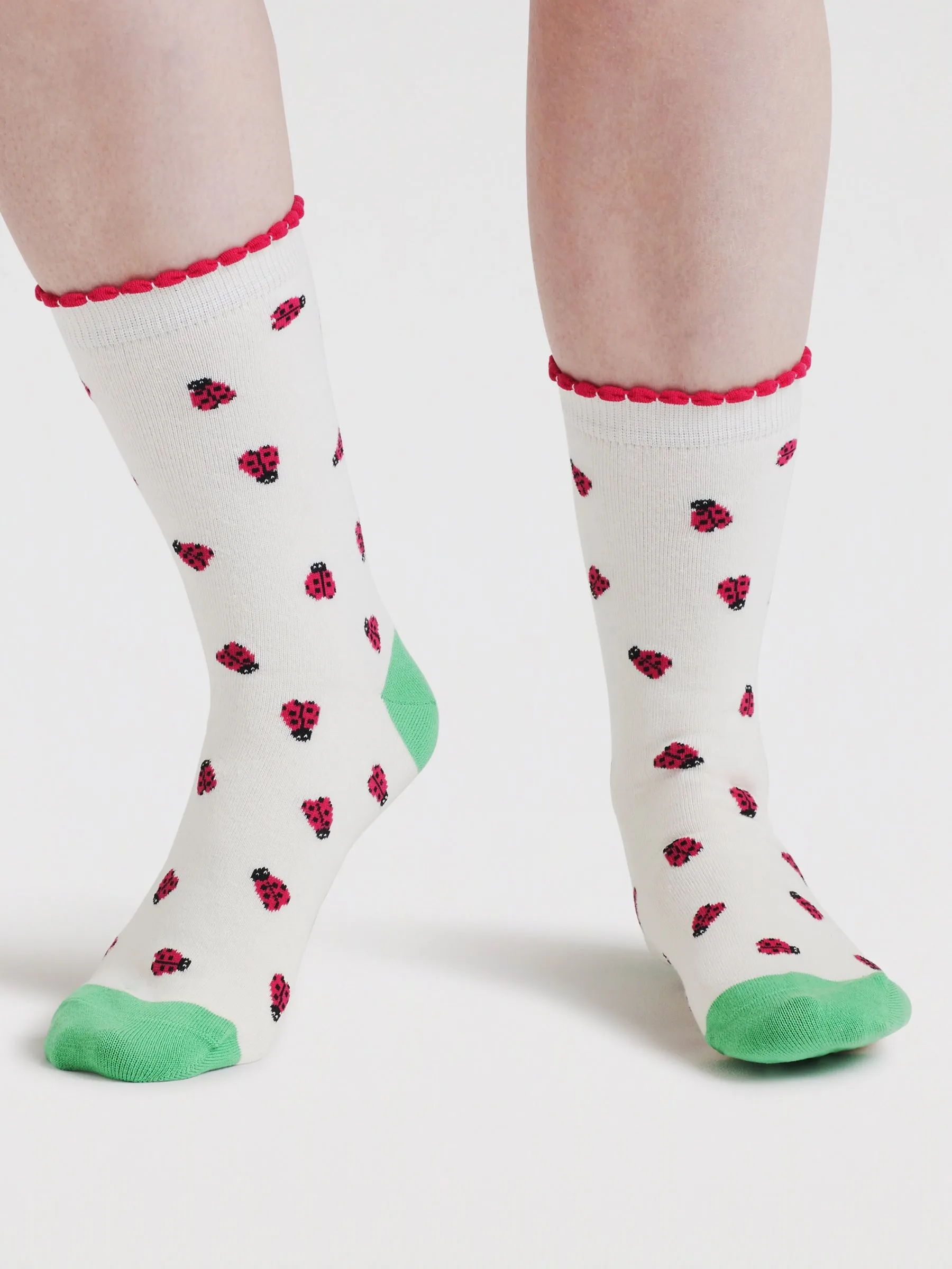 Womens Cloris Insect Organic Cotton 4 Sock Gift Box - Multi